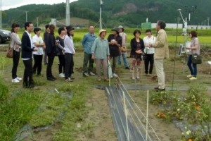 参加者の皆さんに「がんちゃんの三陸野菜畑」で栽培方法などを説明する岡田さん